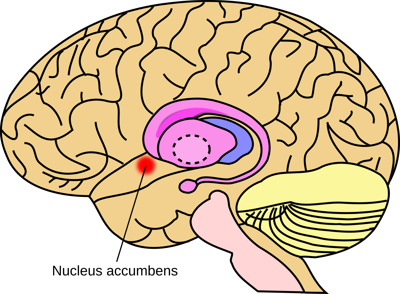 Pasted image 20250614175930.png|200